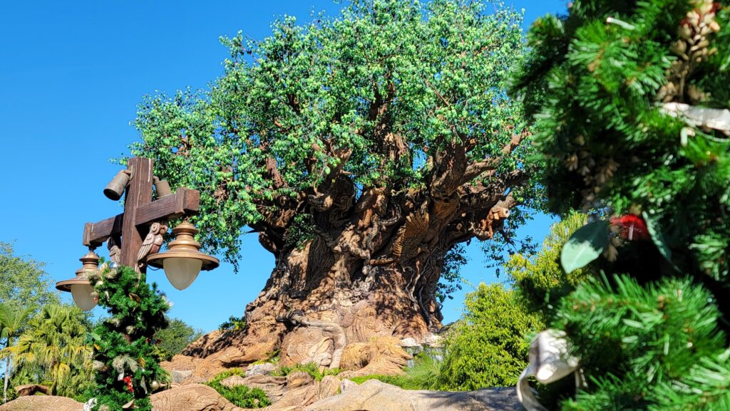 Disney's Animal Kingdom Christmas Tree and Decoration Images