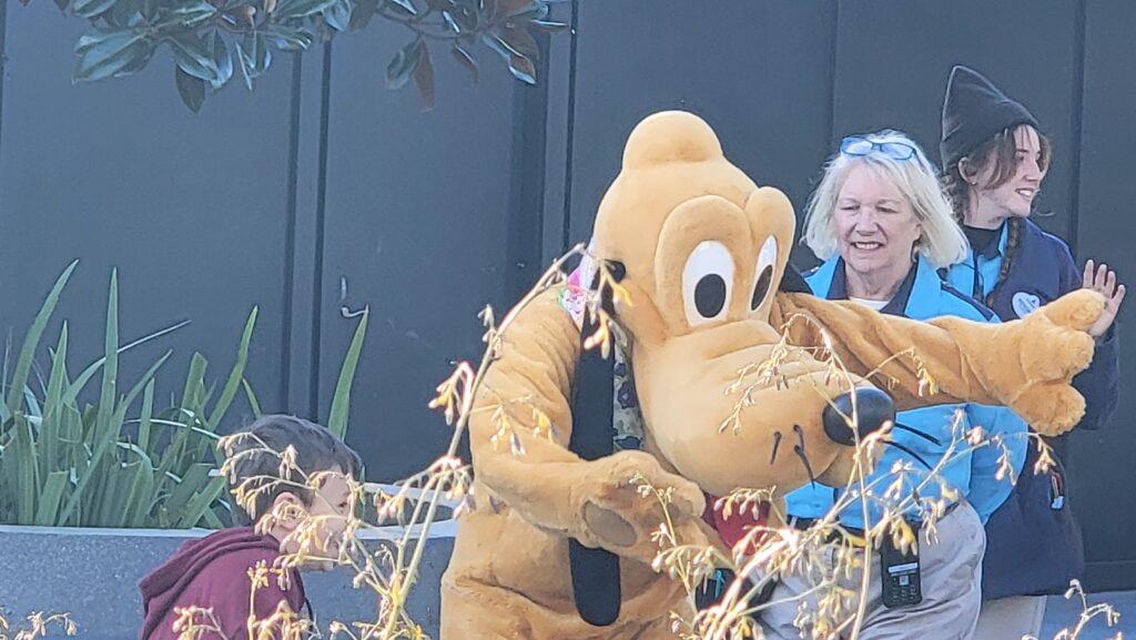 Video: Disney Core Memory Made 'Hide and Seek' with Pluto in Epcot