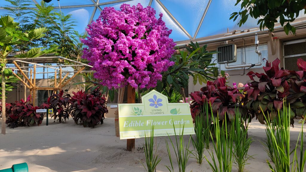 Walt Disney World's 2024 EPCOT International Flower & Garden Festival