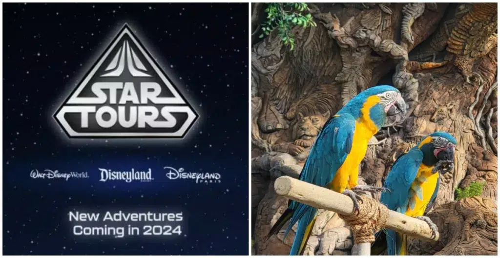 Events and Attractions at Walt Disney World in April 2024